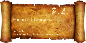 Puches Lizandra névjegykártya